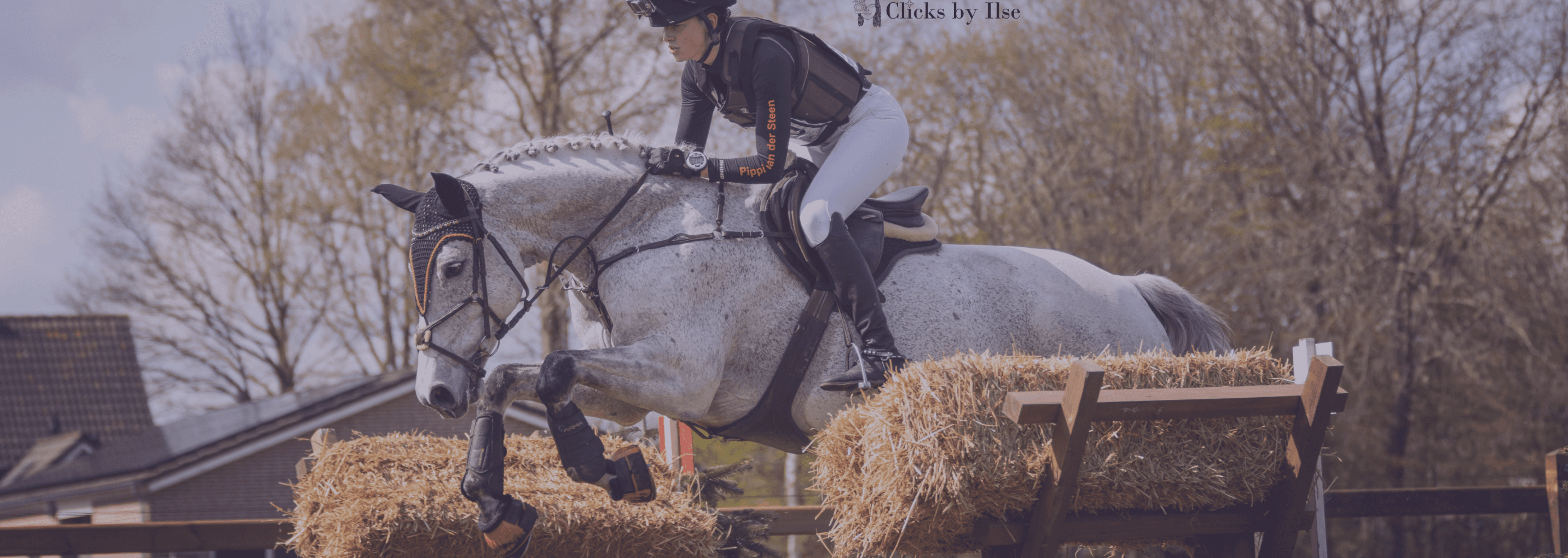 pippi with her horse